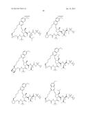 INHIBITORS OF HEPATITIS C VIRUS diagram and image