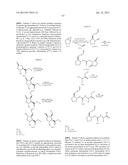 INHIBITORS OF HEPATITIS C VIRUS diagram and image