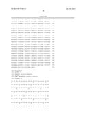 Multifunctional Antibodies Binding to EGFR and MET diagram and image