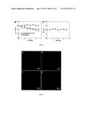 Highly Emissive Far-Red/Near-Infrared Fluorescent Conjugated Polymer-Based     Nanoparticles diagram and image