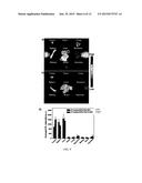 Highly Emissive Far-Red/Near-Infrared Fluorescent Conjugated Polymer-Based     Nanoparticles diagram and image