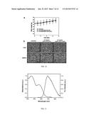 Highly Emissive Far-Red/Near-Infrared Fluorescent Conjugated Polymer-Based     Nanoparticles diagram and image