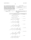 NEMATIC LIQUID CRYSTAL COMPOSITION AND LIQUID CRYSTAL DISPLAY DEVICE USING     THE SAME diagram and image