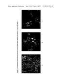 USE OF ALKOXYLATED NON-IONIC SURFACTANTS AS ADDITIVE IN AQUEOUS MEMBRANE     CLEANING COMPOSITIONS diagram and image