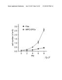 GENERATING HEPATOCYTES diagram and image