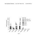 GENERATING HEPATOCYTES diagram and image