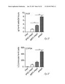 GENERATING HEPATOCYTES diagram and image