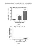 GENERATING HEPATOCYTES diagram and image