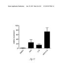 GENERATING HEPATOCYTES diagram and image