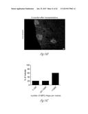 GENERATING HEPATOCYTES diagram and image