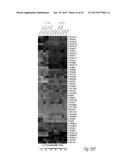 GENERATING HEPATOCYTES diagram and image