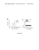 MULTIPOTENT CELLS HAVING MESENCHYMAL AND ENDOTHELIAL LINEAGE POTENTIAL diagram and image