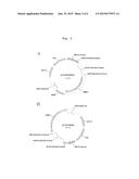 HIGHLY EFFICIENT METHOD FOR ESTABLISHING INDUCED PLURIPOTENT STEM CELL diagram and image