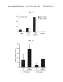 HIGHLY EFFICIENT METHOD FOR ESTABLISHING INDUCED PLURIPOTENT STEM CELL diagram and image