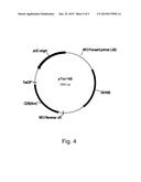 Polypeptides Having Endoglucanase Activity And Polynucleotides Encoding     Same diagram and image