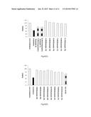 BACILLUS, HYALURONIDASE, AND USES THEREOF diagram and image