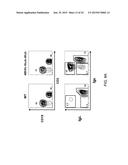 Human Lambda Light Chain Mice diagram and image