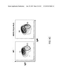 Human Lambda Light Chain Mice diagram and image