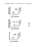 Human Lambda Light Chain Mice diagram and image