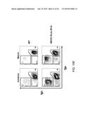 Human Lambda Light Chain Mice diagram and image