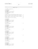 Human Lambda Light Chain Mice diagram and image