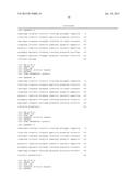 Human Lambda Light Chain Mice diagram and image