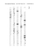 Protein with recombinase activity for site-specific DNA-recombination diagram and image