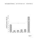 Protein with recombinase activity for site-specific DNA-recombination diagram and image