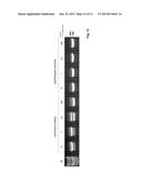 Protein with recombinase activity for site-specific DNA-recombination diagram and image