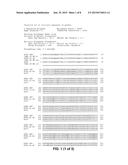 SUGAR TRANSPORT SEQUENCES, YEAST STRAINS HAVING IMPROVED SUGAR UPTAKE, AND     METHODS OF USE diagram and image