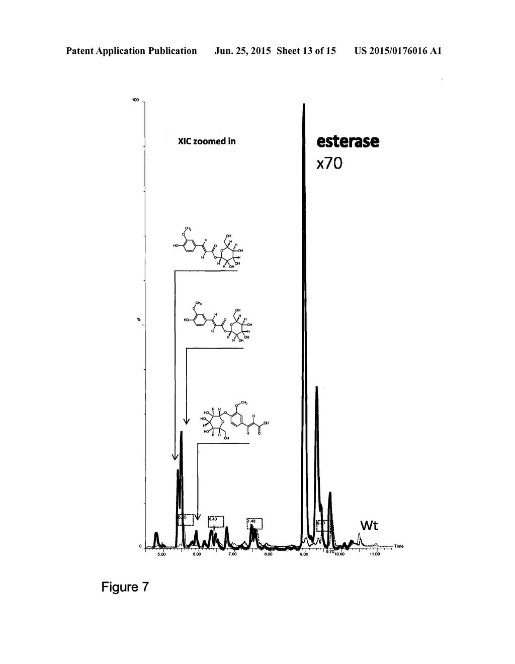 METHOD FOR MODIFYING LIGNIN BIOSYNTHESIS IN PLANTS - diagram, schematic, and image 14