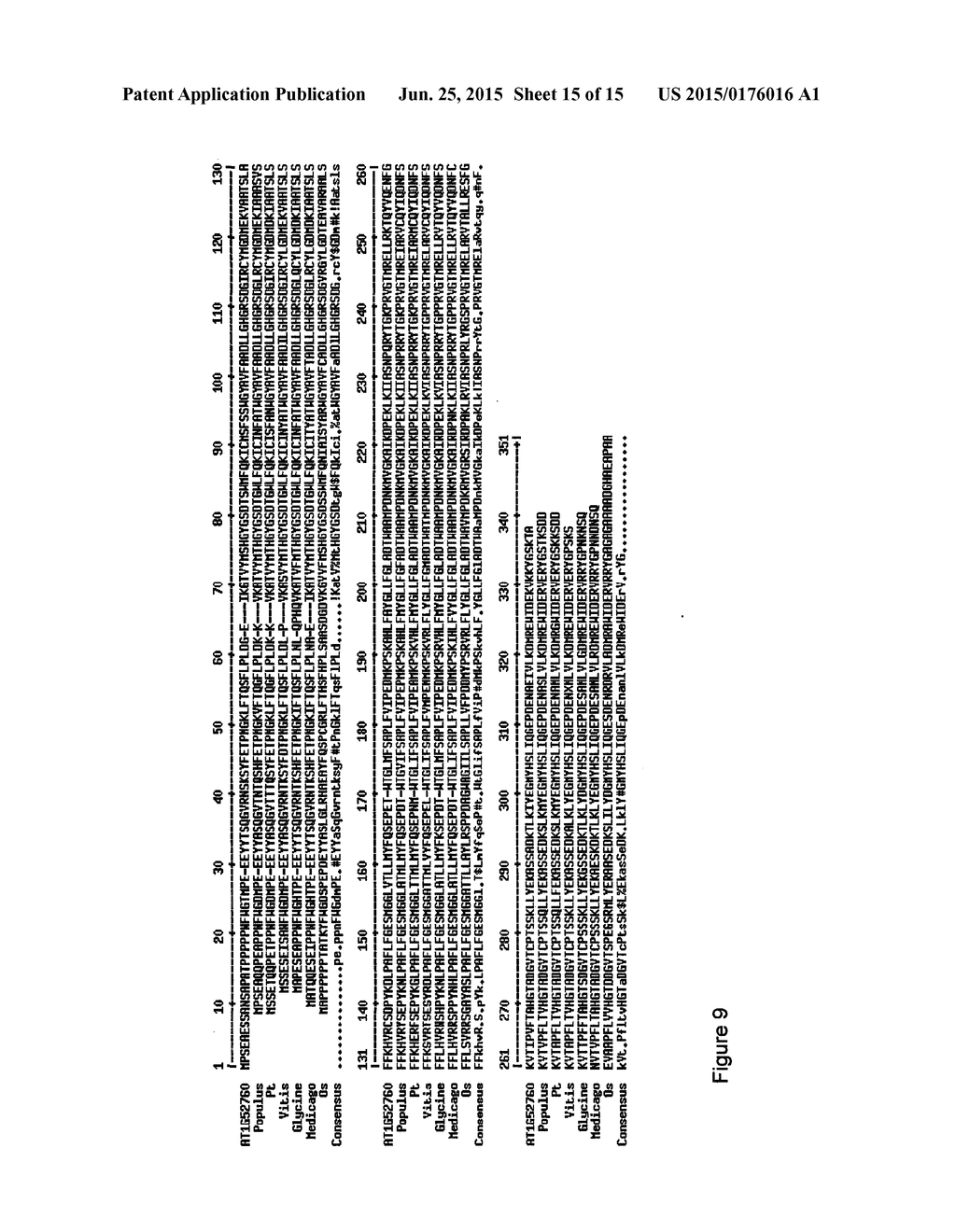 METHOD FOR MODIFYING LIGNIN BIOSYNTHESIS IN PLANTS - diagram, schematic, and image 16