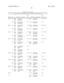 USE OF CAD GENES TO INCREASE NITROGEN USE EFFICIENCY AND LOW NITROGEN     TOLERANCE TO A PLANT diagram and image