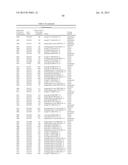 USE OF CAD GENES TO INCREASE NITROGEN USE EFFICIENCY AND LOW NITROGEN     TOLERANCE TO A PLANT diagram and image