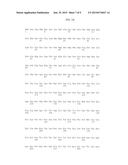 ADENO-ASSOCIATED VIRUS (AAV) SEROTYPE 8 SEQUENCES, VECTORS CONTAINING     SAME, AND USES THEREFOR diagram and image