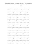 ADENO-ASSOCIATED VIRUS (AAV) SEROTYPE 8 SEQUENCES, VECTORS CONTAINING     SAME, AND USES THEREFOR diagram and image