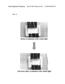 OXIDOREDUCTASE REACTION CONTROL AND USE THEREOF diagram and image