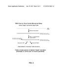 MICROARRAY SYSTEM WITH IMPROVED SEQUENCE SPECIFICITY diagram and image