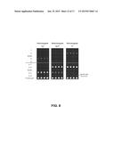 MICROARRAY SYSTEM WITH IMPROVED SEQUENCE SPECIFICITY diagram and image