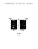 MICROARRAY SYSTEM WITH IMPROVED SEQUENCE SPECIFICITY diagram and image