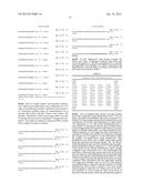 MICROARRAY SYSTEM WITH IMPROVED SEQUENCE SPECIFICITY diagram and image