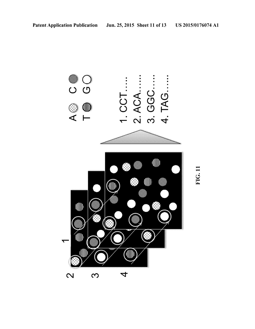 3'-OH UNBLOCKED, FAST PHOTOCLEAVABLE TERMINATING NUCLEOTIDES AND METHODS     FOR NUCLEIC ACID SEQUENCING - diagram, schematic, and image 12