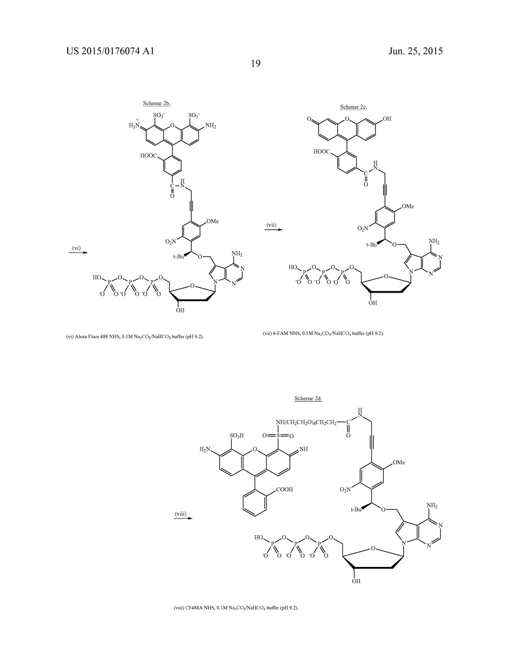 3'-OH UNBLOCKED, FAST PHOTOCLEAVABLE TERMINATING NUCLEOTIDES AND METHODS     FOR NUCLEIC ACID SEQUENCING - diagram, schematic, and image 33