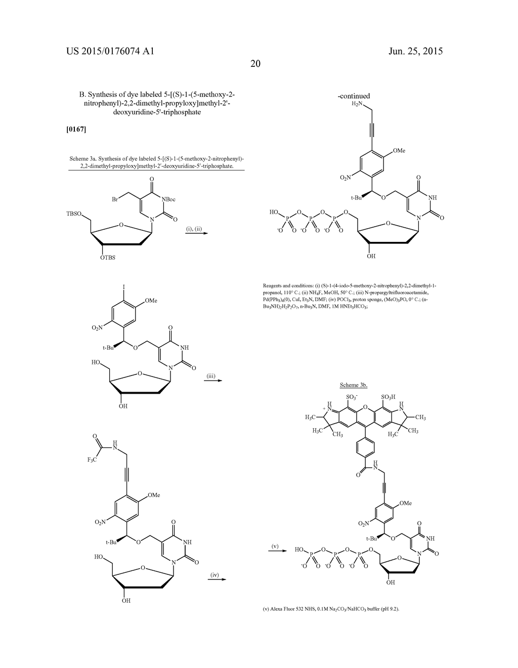 3'-OH UNBLOCKED, FAST PHOTOCLEAVABLE TERMINATING NUCLEOTIDES AND METHODS     FOR NUCLEIC ACID SEQUENCING - diagram, schematic, and image 34