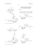 3 -OH UNBLOCKED, FAST PHOTOCLEAVABLE TERMINATING NUCLEOTIDES AND METHODS     FOR NUCLEIC ACID SEQUENCING diagram and image