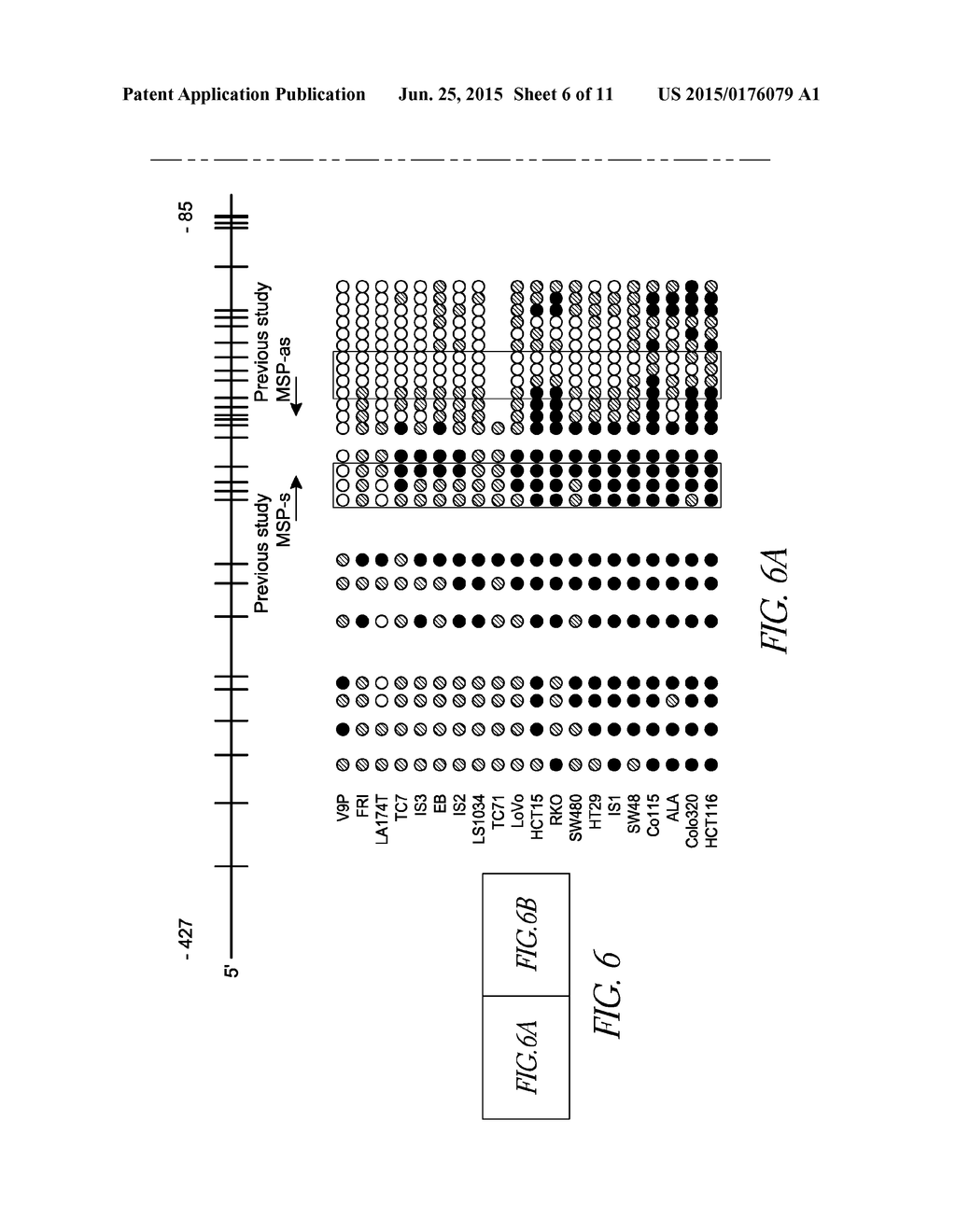 MARKERS FOR CANCER - diagram, schematic, and image 07