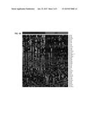 PLASMA MICRORNAS FOR THE DETECTION OF EARLY COLORECTAL CANCER diagram and image