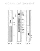 AUTONOMOUS SELECTIVE SHIFTING TOOL diagram and image