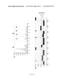 APTAMER METHOD diagram and image