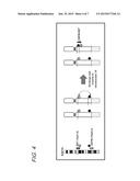 FUSION GENE OF CEP55 GENE AND RET GENE diagram and image